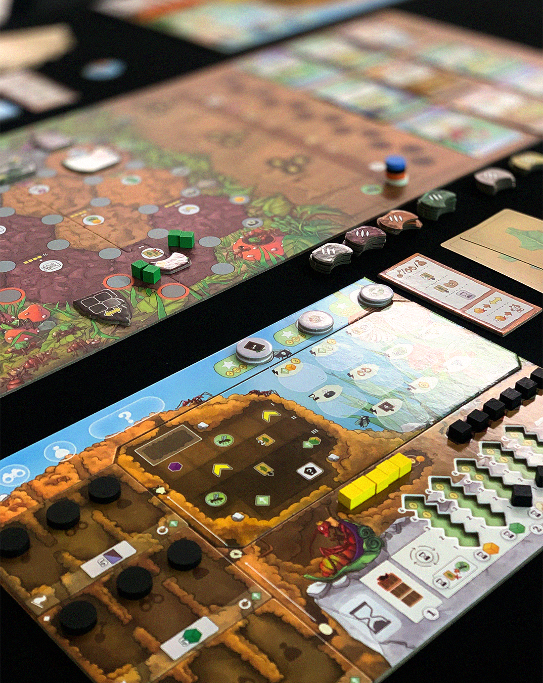 [한국어판] [선주문] 앤트